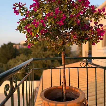 Altana Corfu Βίλα